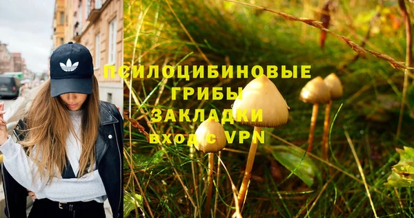прущий лед Михайлов
