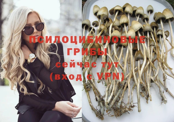 прущий лед Михайлов