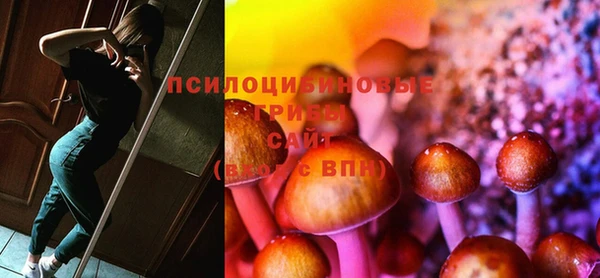 прущий лед Михайлов