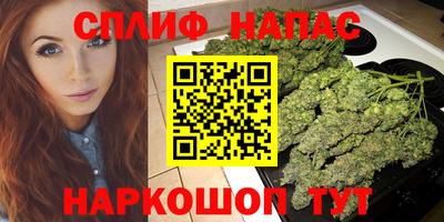 тгк Гусев