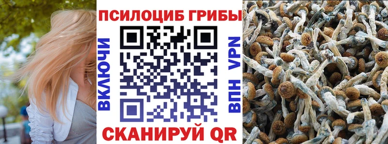 Псилоцибиновые грибы MAGIC MUSHROOMS  купить  цена  Рубцовск 