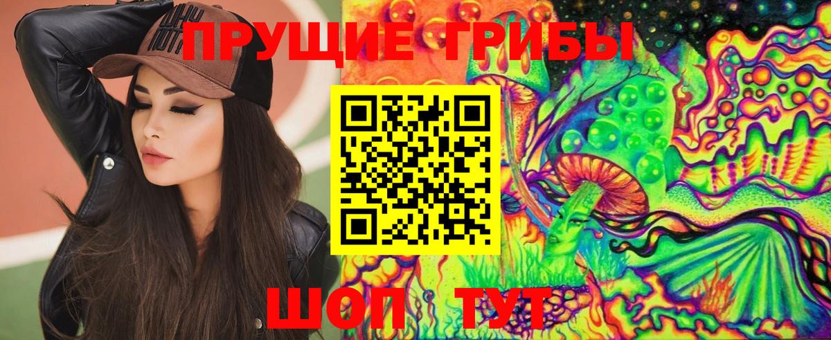 Рубцовск  Псилоцибиновые грибы GOLDEN TEACHER  Вход с VPN  Псилоцибиновые грибы прущие грибы 
